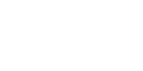 Light graphic software